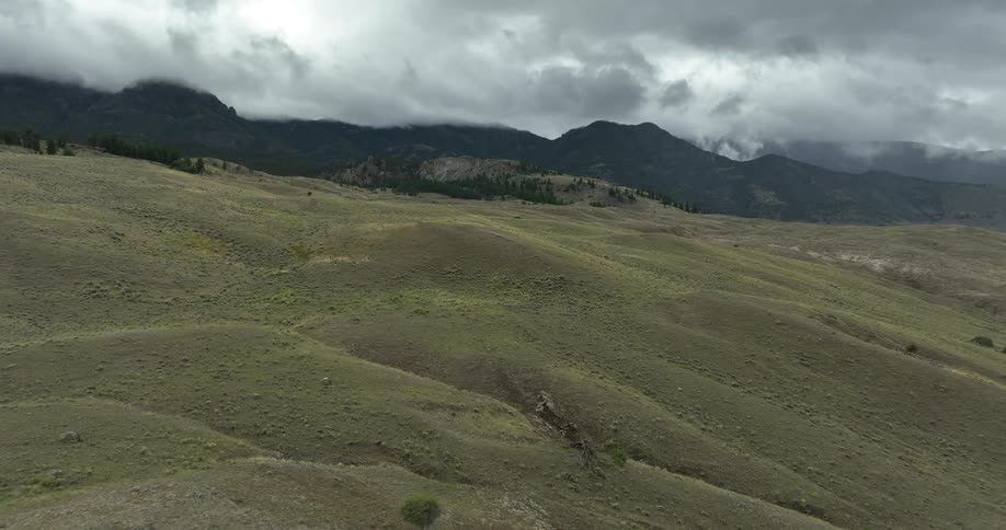 Woods top hills near base of foggy mountains on an overcast day