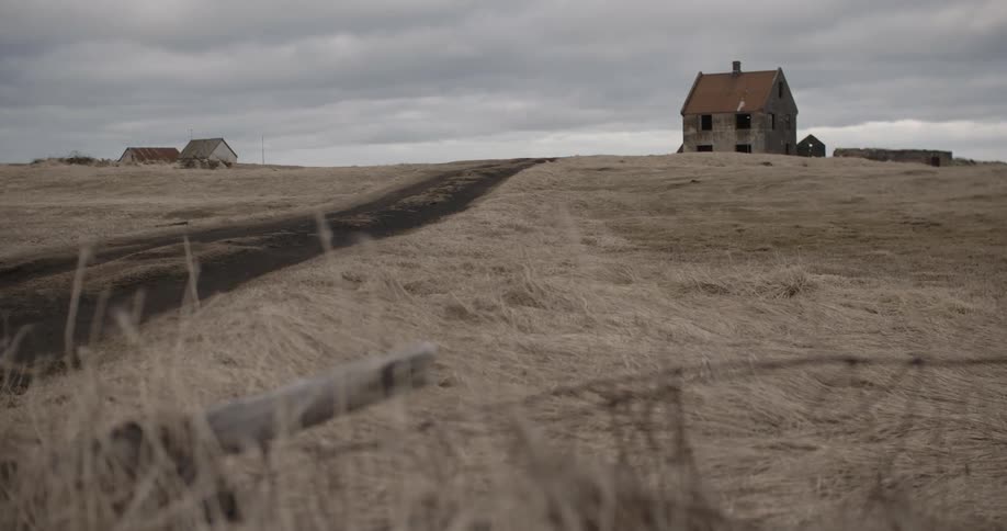 The wind blows dead grass in a field with buildings in the distance
