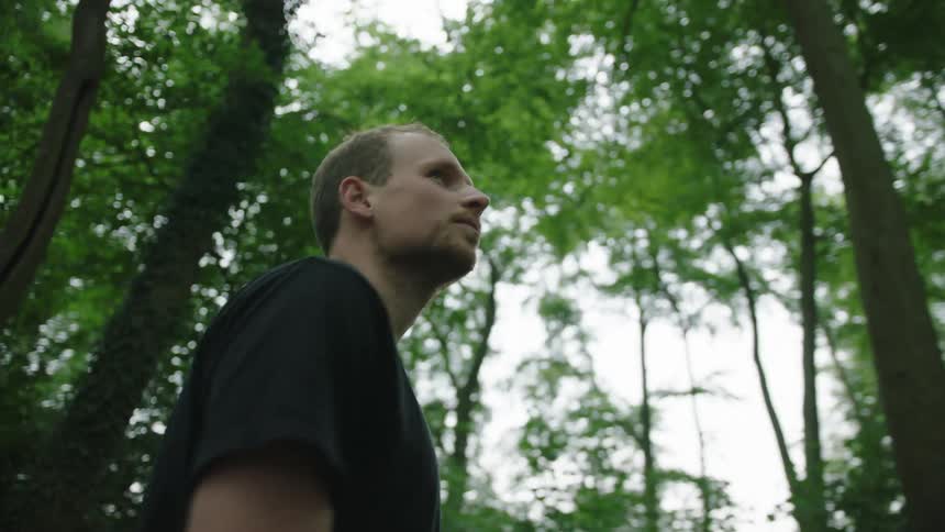 A young man looks up while walking in a deciduous forest on a summer day
