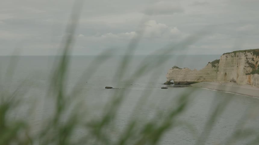 A serene view of a sea shore with cliffs and greenery in the foreground