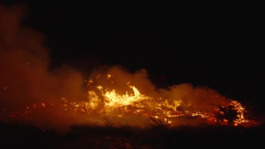 A clip of a burning bush