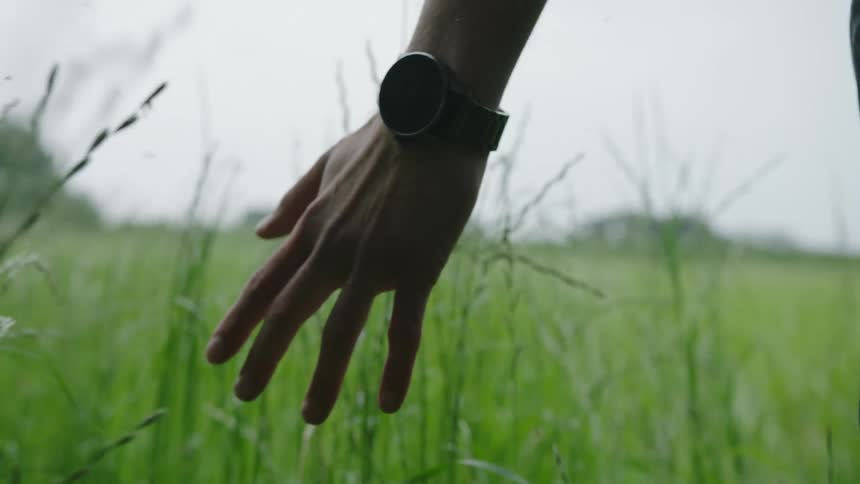 Closeup of a persons hands running through tall grass