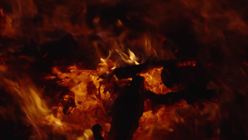 Closeup of a bush on fire at night