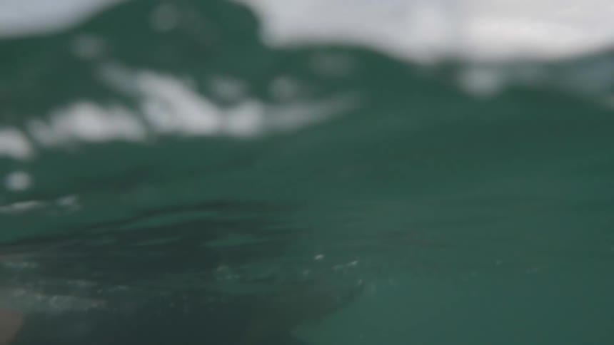 Woman swimming in the middle of the ocean on a cloudy day