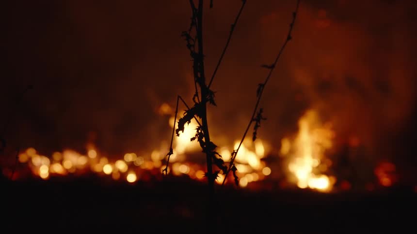 View of a forest on fire in slow motion at night