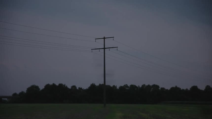 On a drive by there are trees and electric poles by the road side