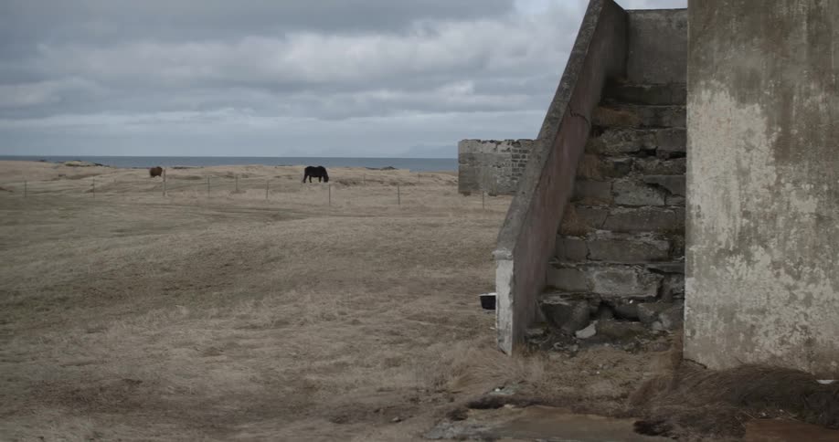 A stone house sits on a field with some horses in the distance