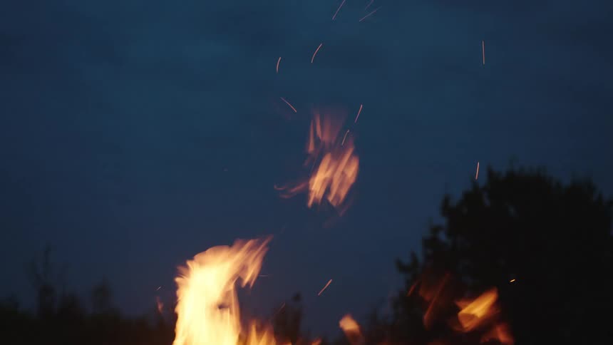 Fire burning in a forest area at night