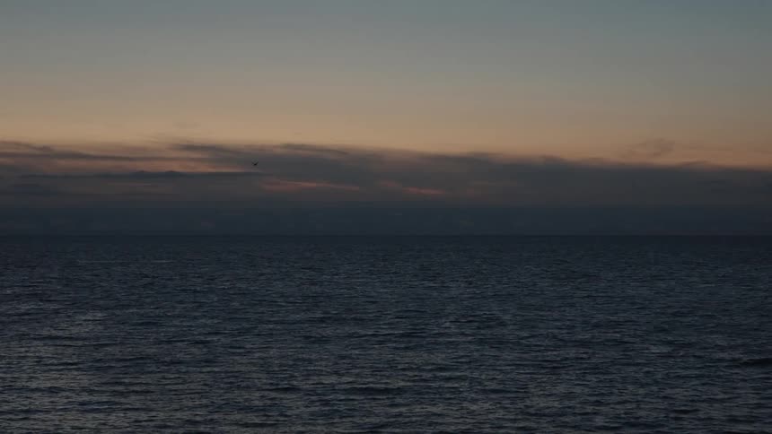 A lonely seagull flies over the ocean at sunset
