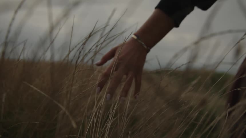 A hand touching grass on a field under a cloudy sky
