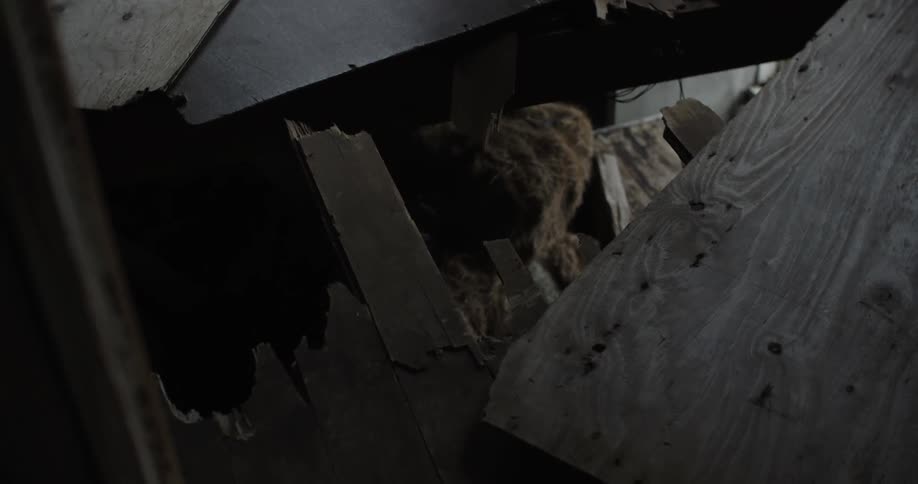 Wood, wires and insulation exposed in a ruined building