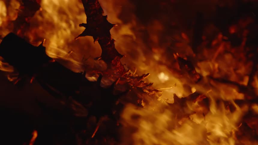 A fire that is burning several pieces of wood from nature and a lot of sparks that are coming out