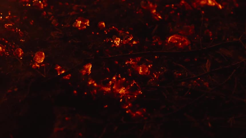 Embers from a bonfire at night