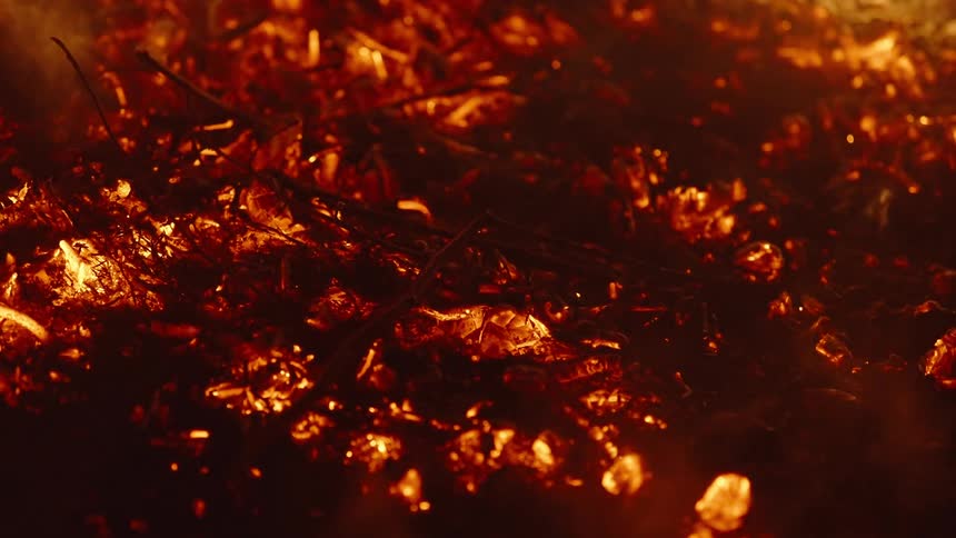 A close up clip of a burning fire