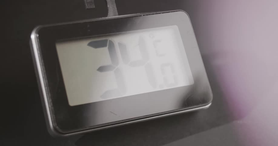 Numbers on digital display change