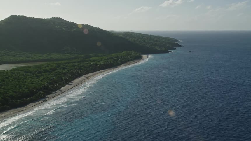 An aerial view of the beach with trees in the distance