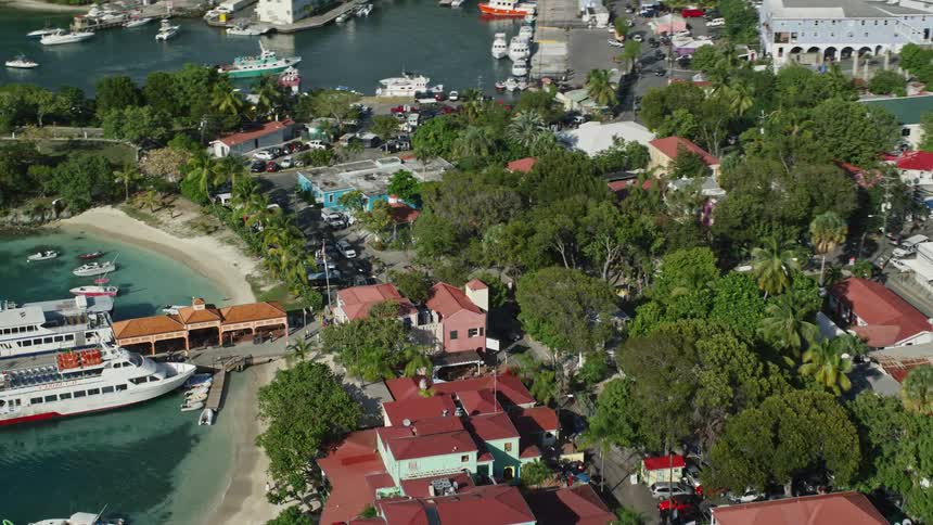 An aerial view of a region with several houses and many trees and a bay with several boats