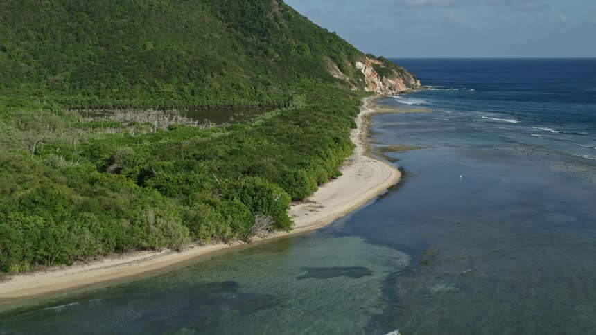 Aerial panorama of the sea coast covered by vegetation and the turquoise sea
