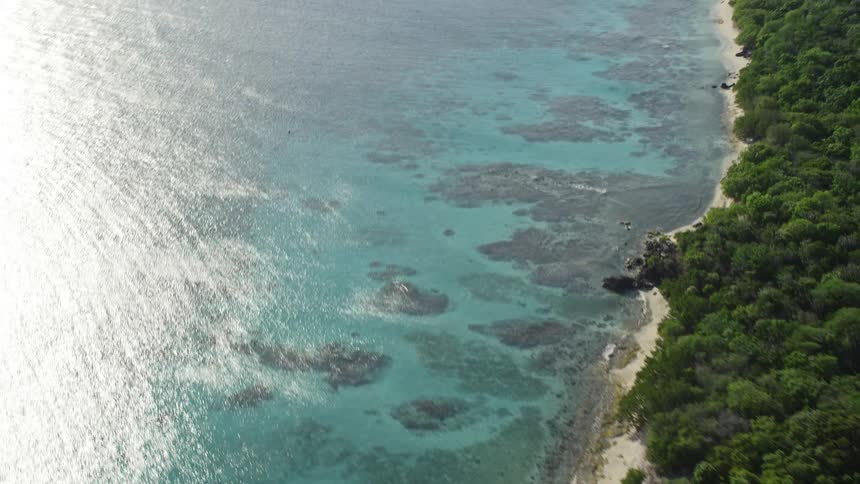 Aerial of a tropical island in the ocean during the day