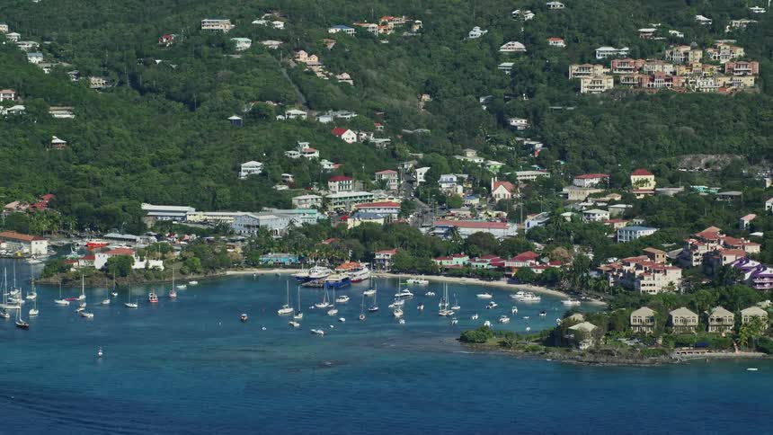 Coastal harbor with boats houses on green vegetation hillside