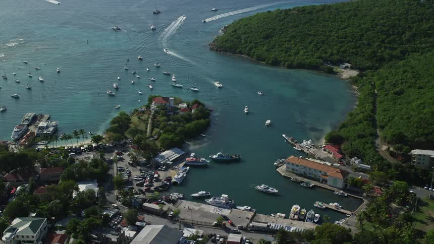 An aerial view of an area with many houses close to a sea coast full of parked boats