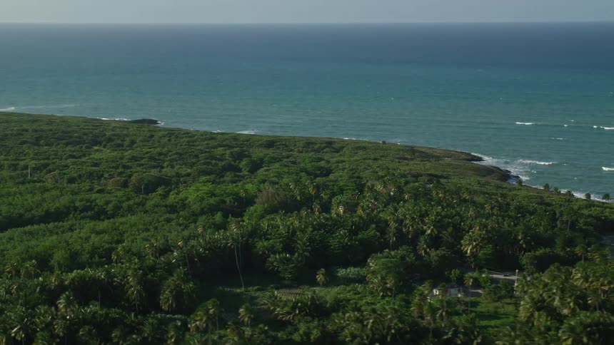 An aerial view of the coast on a sunny day