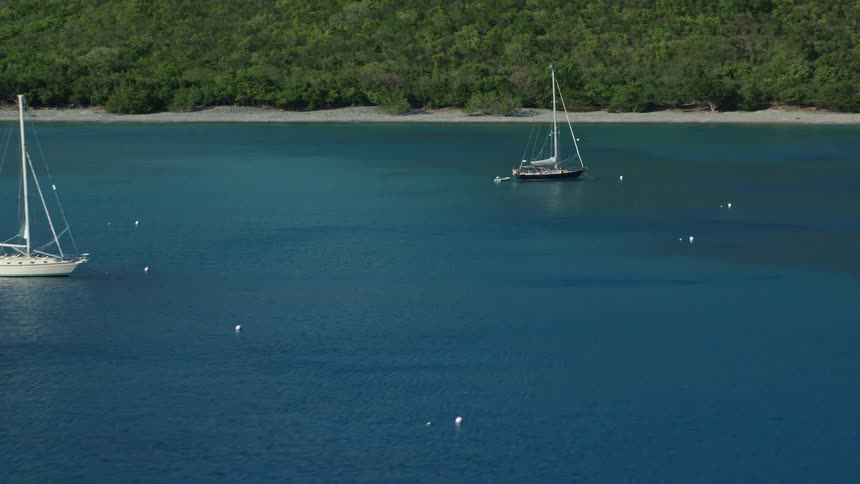 Two boats stopped in a bay of water and on the shore in a forest of trees