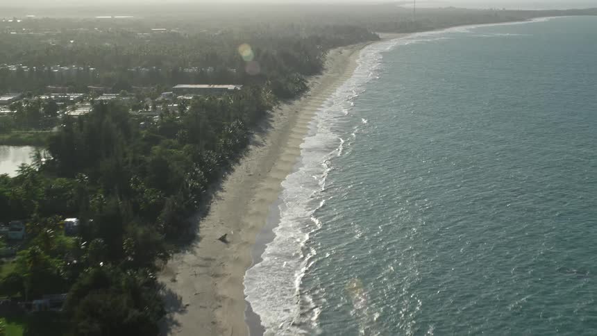A city with many trees that is close to the beach and the sea has some waves breaking on the back and reflecting sunlight