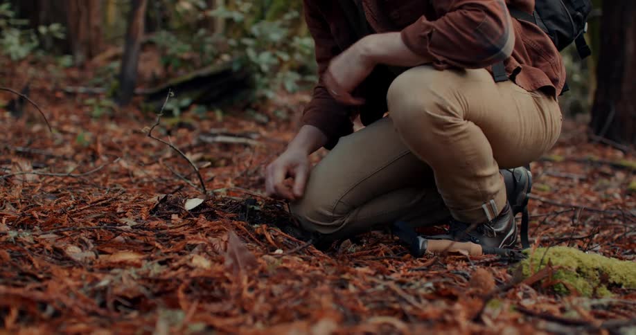 Man walking through the forest crouching and collecting a mushroom