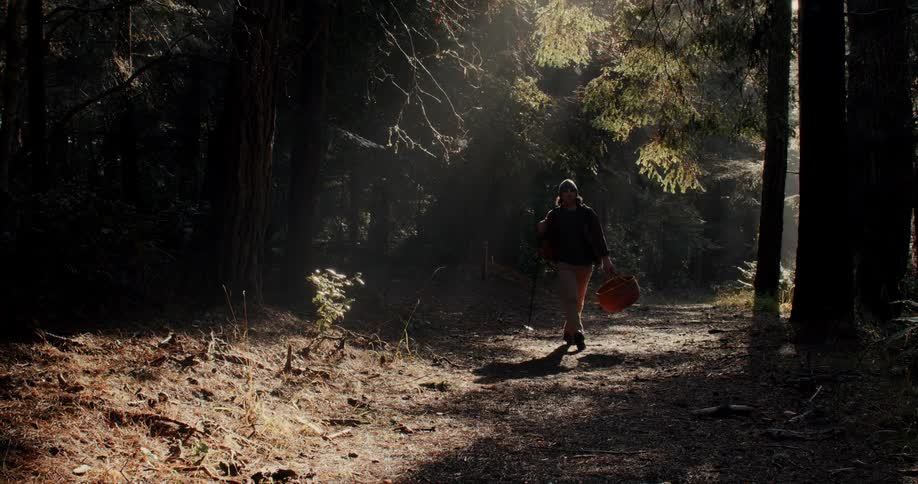 A man walking alone in the forest on a rainy day