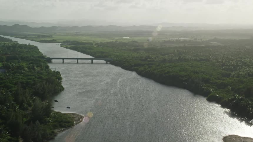 An aerial view of a river with trees on either side