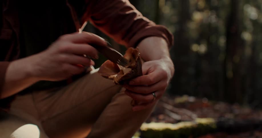 Man brushing a cleaning brush over a dry mushroom in the middle of the forest