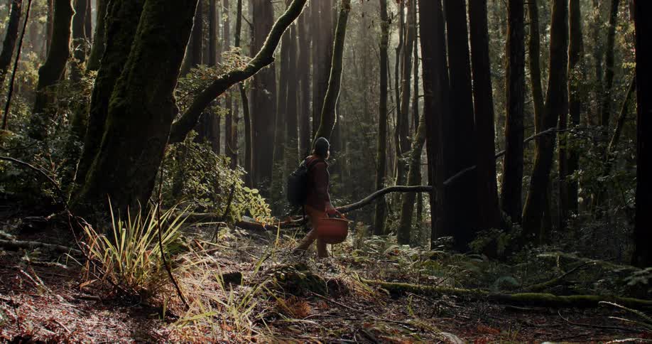 A person with warm clothes from a basket in his hand is walking in the middle of a forest and suddenly stops