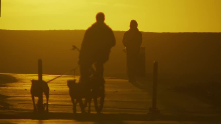 Silhouetted against amber sky cyclist pedals along trail with two dogs on a leach while passing a pedestrian