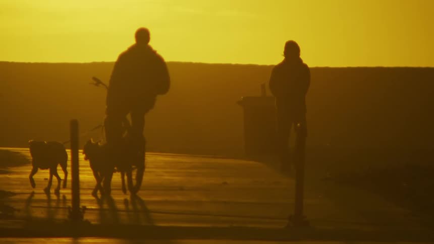 A person walking and another on a bicycle with dogs on a leash on an orange sky morning
