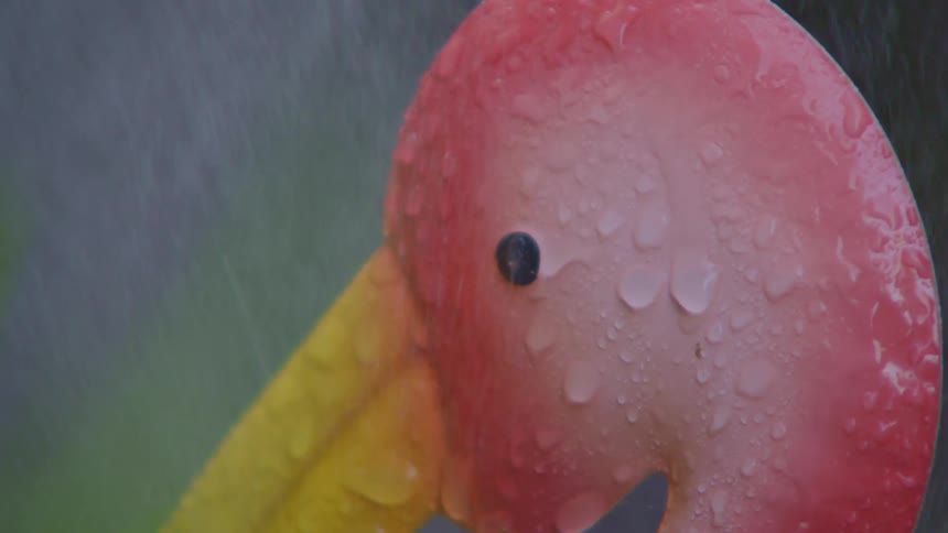 A flamingo sculpture with water drops falling on it