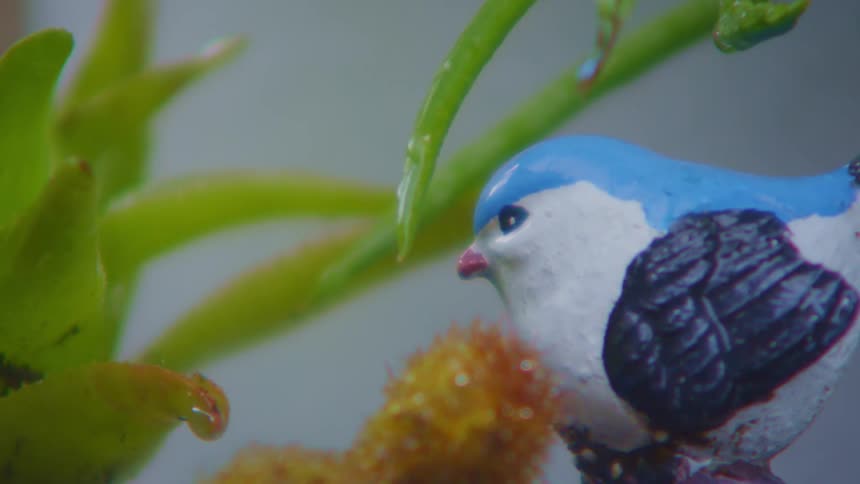 Closeup of a ceramic bird on leaves around it in slow motion during rain