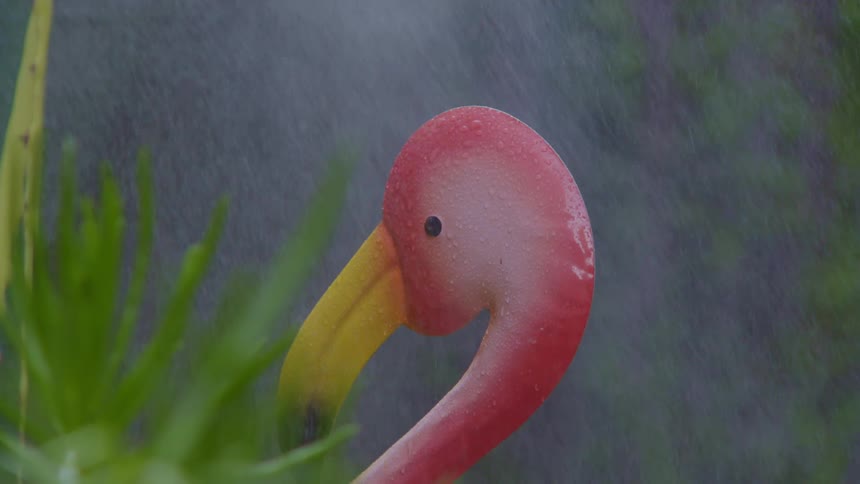 A flamingo sculpture in a garden while it is watered
