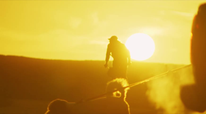View of people walking dogs and others riding bicycles with a vibrant sunset in the background