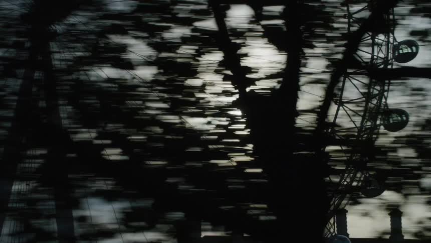 Ferris wheel seen through trees from moving vehicle