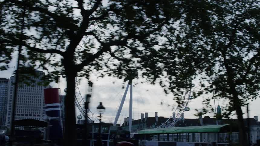 A large ferris wheel is before the city