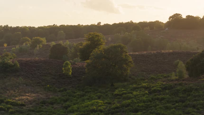 Timelapse of the day turning into dusk over hills with vegetation