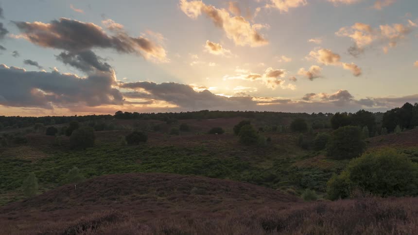 A clip of a forest land