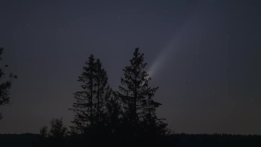 silhuettes of trees and a large comet moving across the sky