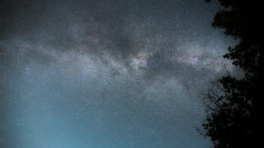 The night sky showcasing the milky way galaxy and the silhouette of tree branches