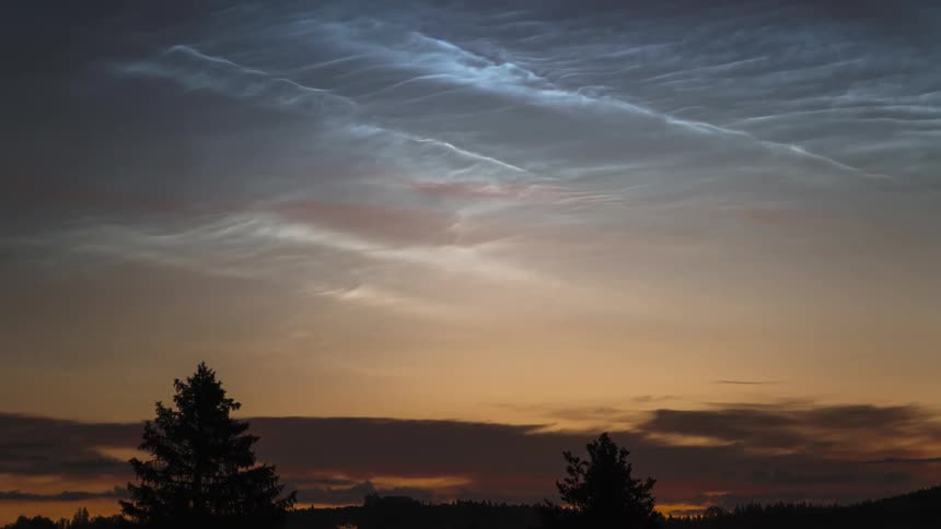 Trees with Noctilucent Clouds (NLC's) in the sky