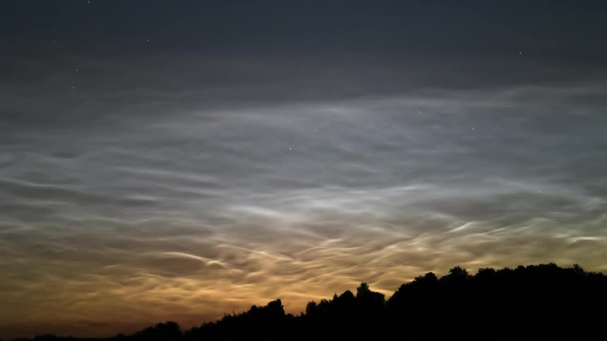 Silhouette of trees with Strong Noctilucent Clouds (NLC's) in the sky