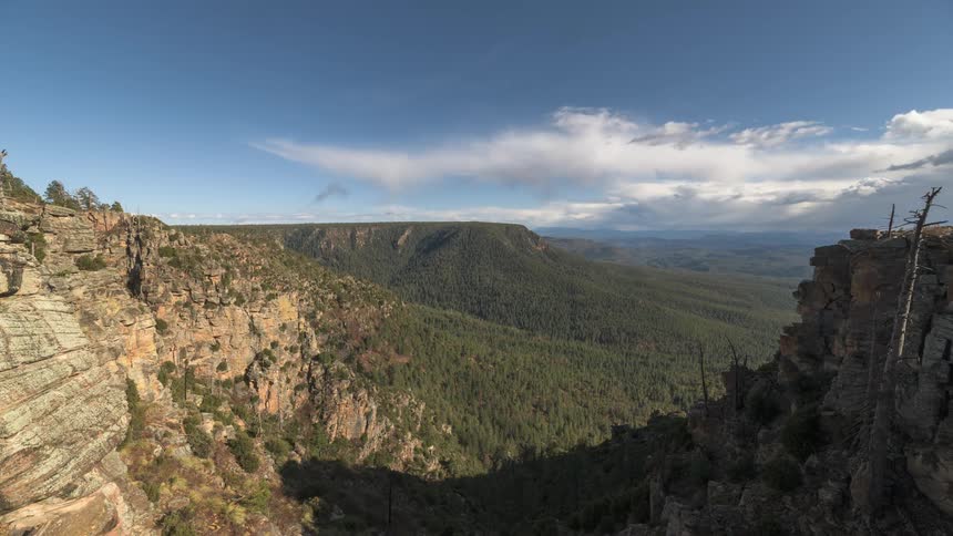 In the canyon there are green vegetation under on a sunny day