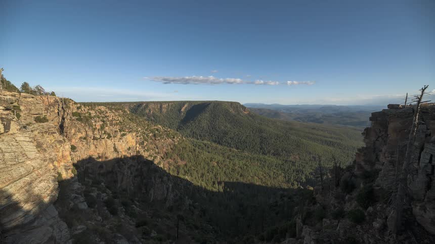 A canyon filled with a forest