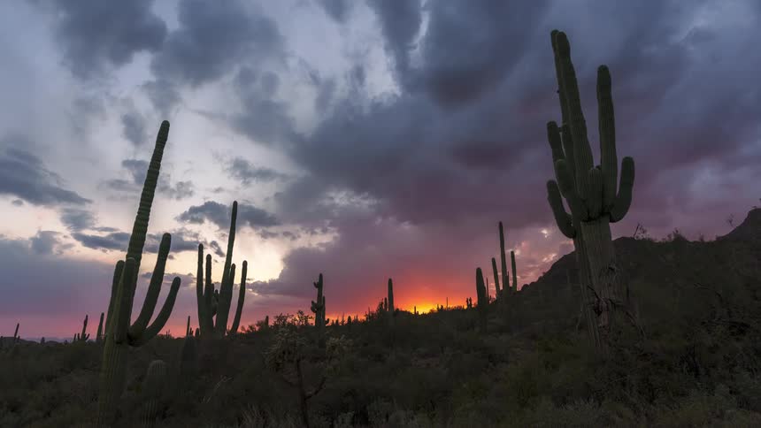 Natural landscape of cacti amidst hills with the sun going away in timelapse